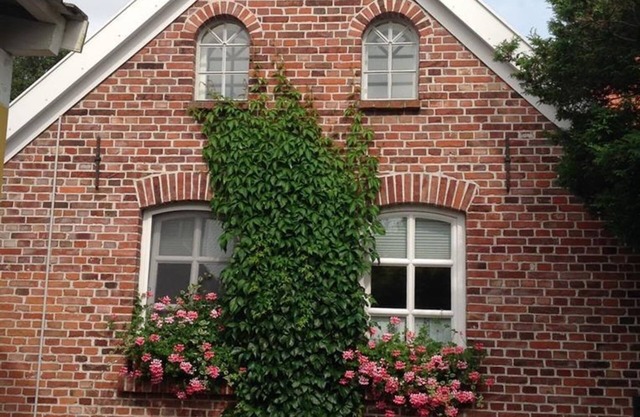 Klaassen - Maison de vacances Up Warf - Maison de vacances Up Warf, douche, WC, 2 chambres
