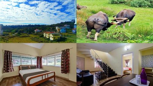 Kodai Mist Starlight Hotels