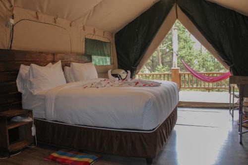 Kuriftu Entoto Adventure Park