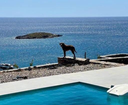 Kythnos beachfront villa with swimming pool