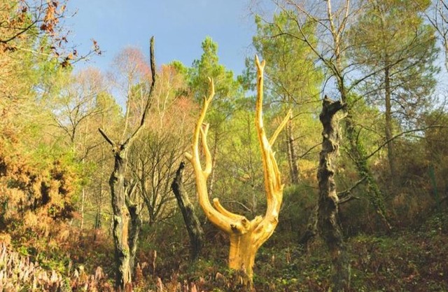 L'arbre dort studio indépendant