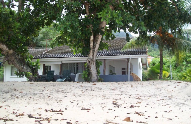 En bord de mer Au Cap, Seychelles, carrément sur la plage aux sables blancs