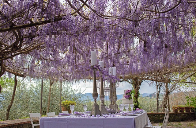 La Bicchieraia country home with pool