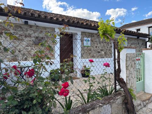 La casa vieja de Marchenilla