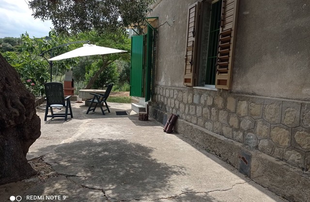 La Casetta parmi les oliviers