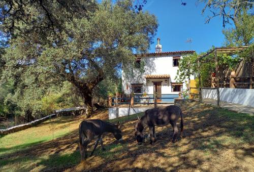 La Encina Casa Rural