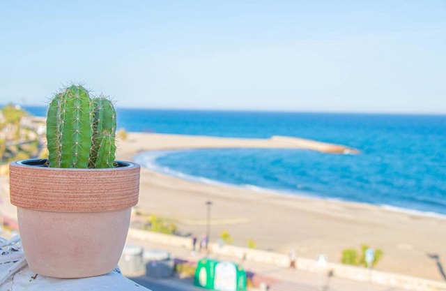 La Esperanza Beach- Zona Pubs y Restaurantes