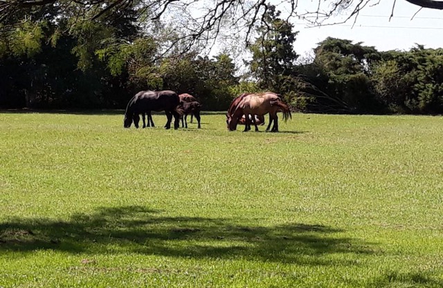 La Isolina Club de Campo