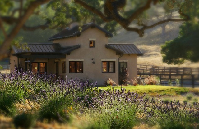 La Petite Maison Dans Santa Ynez