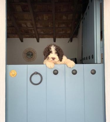 La Puerta Azul