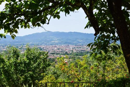 "La Salvia" - Villa Pacinotti