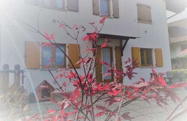 la STELLA House
