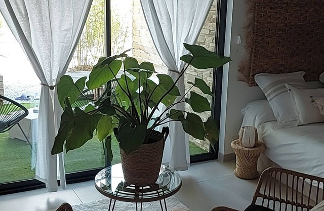 La Suite Soledad