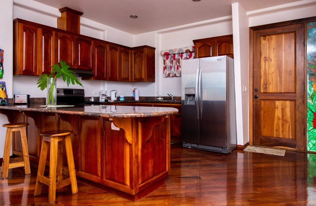 NOUVEAU LAC ARENAL CONDO 1B / 1 B CUISINE COMPLETE