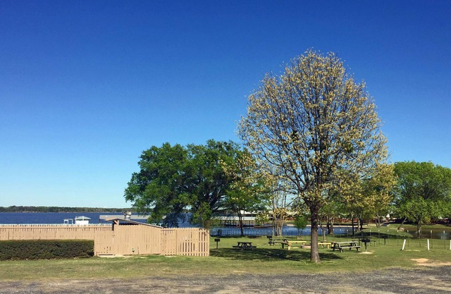 Lake Fork Resort