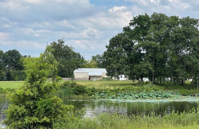 Lake house off of Lake Fork, one of the best bass fishing lakes in the country!