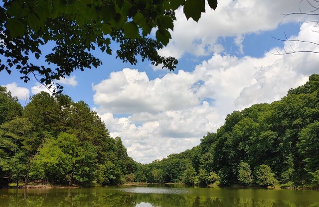 Lake Lodge -2 miles to downtown and Clemson University