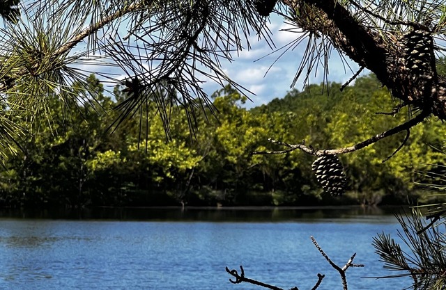 Lake Longbow-10 acre private lake, 80 acres, 4-wheeler trails