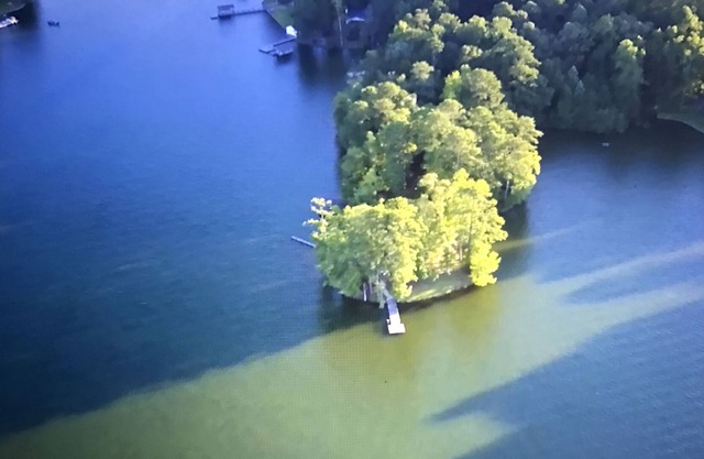 CABINE DU LAC MARTIN