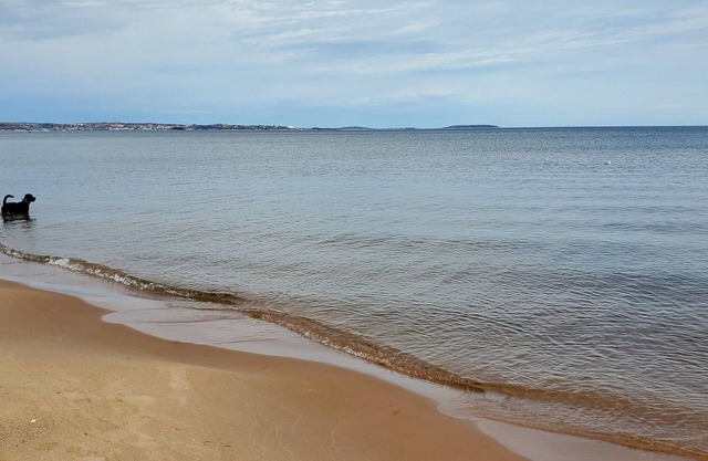 Détendez-vous à la plage au lieu d'un hôtel Marquette - 1-4 personnes