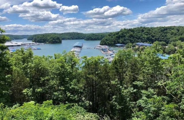 20% off your stay! Lake House with Marina Views, Great for Big Groups