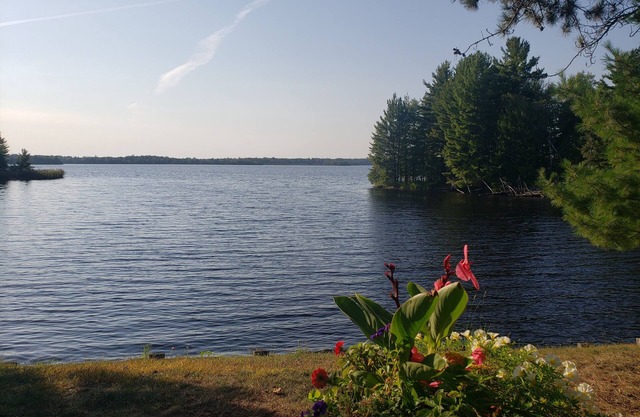 Lakefront Cabin on Island Lake