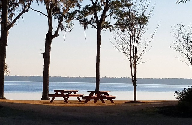 Condo au bord du lac avec glissement de bateau sur la rive nord. 3BR / 3BA - Pêche, golf, canotage