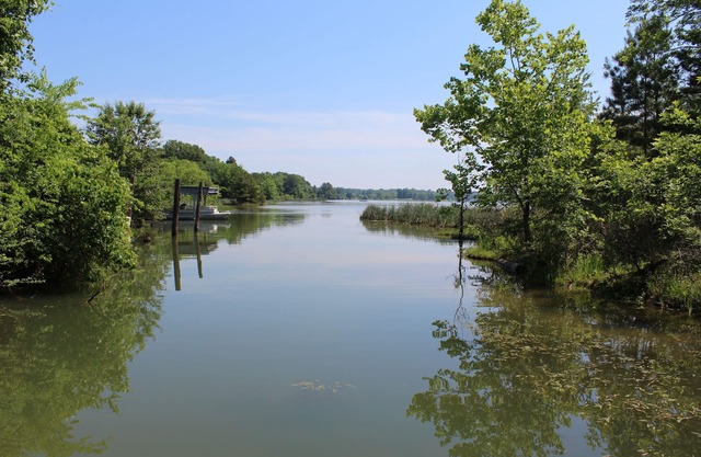 Bord de lac, grande cour, à proximité des activités de Chattanooga, quai privé, animaux acceptés