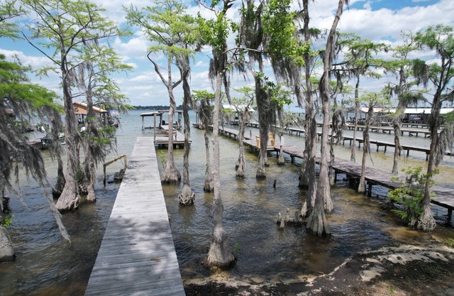Lakefront with Private Pier at White Lake