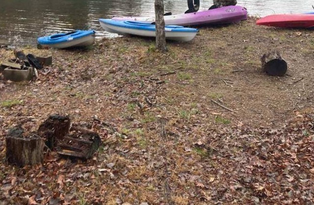 Lakeshore Cottage Lake Lanier | 0 Bed, 1 Bath