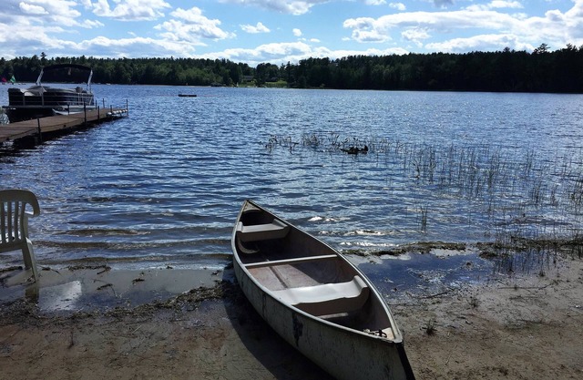 Bateaux, quai, radeau, gril, foyer, sur un lac, sur la plage, sur une table de pique-nique, adapté aux animaux domestiques