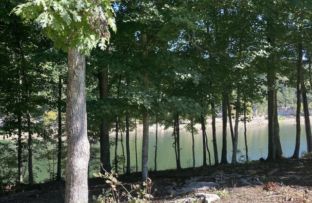 Lakeside Hideaway II - lakefront with hot tub / walk to boat ramp