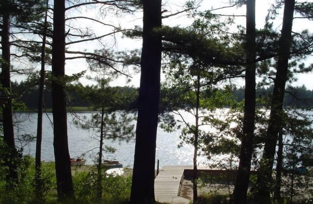 Log Home On Wequas Lake, dog-friendly, cheminée, bateaux gratuits