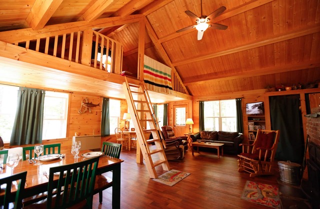 Lakeside Pine Cone Cabin avec plage privée de 30 'et quai, cheminée, kayaks