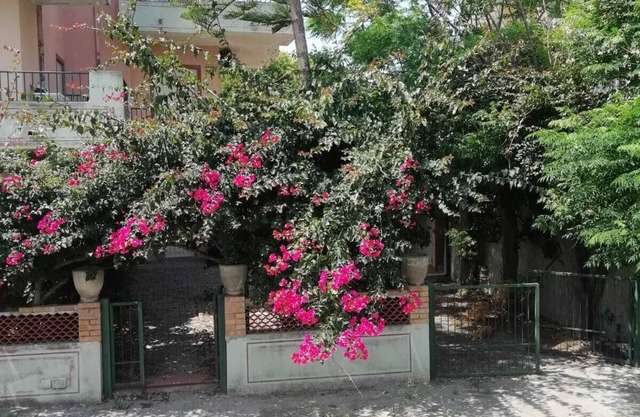 maison lamanna bâtiment rose
