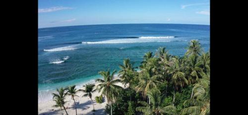 Lances right Surfhouse