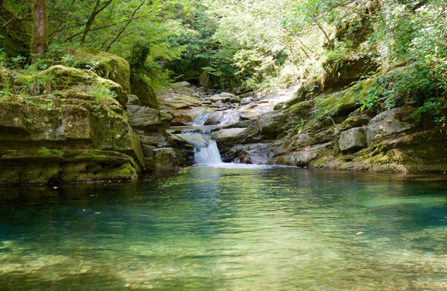 DÉBARQUÉ DANS UNE VALLÉE ENCHANTEE