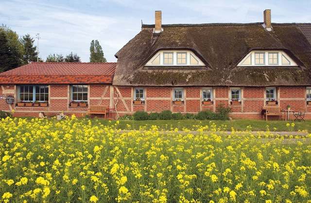 Landhaus Maltzien à Rügen sur la mer Baltique -Wewo Oie