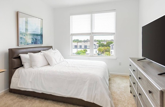 Landing at Longshore Commons - 1 Bedroom in Savannah