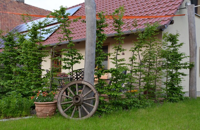 "LANDROMANTIK" au milieu des landes et des étangs aux portes de Bautzen