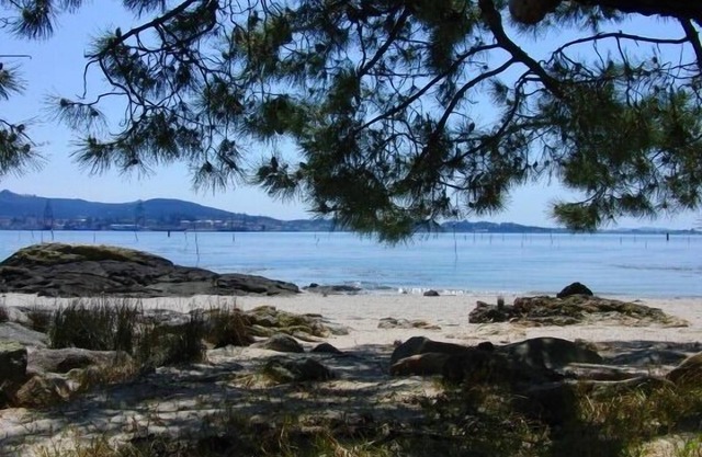 Lar de Arousa 1 - Location Integro