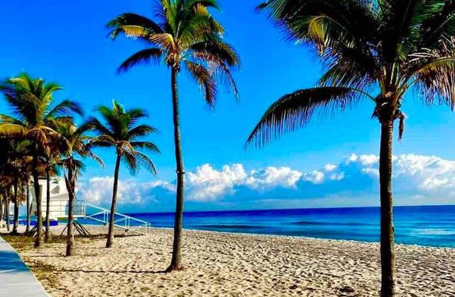 Large 1br on water las olas/ beach /free kayaks .