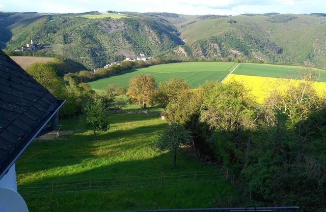 Grand appartement avec vue de rêve et terrasse pour 4-9 P sur la Rheinhöhe