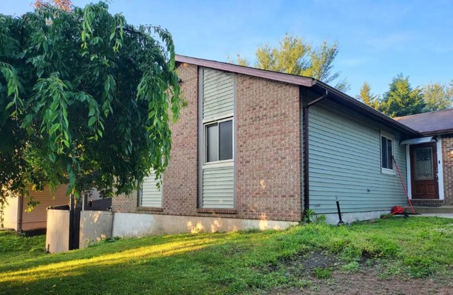 Large Basement 2 room Apartment, Totally private!