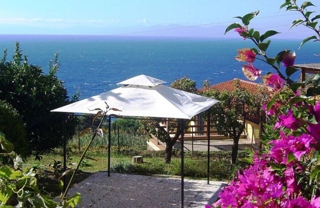 Large garden overlooking the sea
