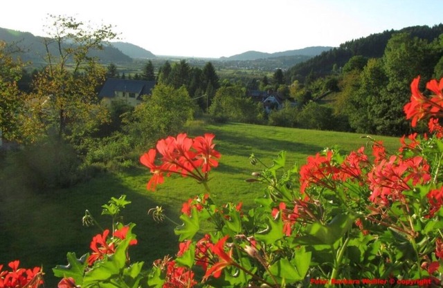 3 chambres, 120 m², max. 6 pers., Jardin, TV satellite / radio, Wifi gratuit