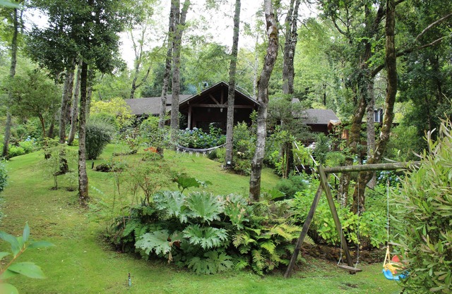 Grande maison dans un parc privé à quelques minutes du centre-ville de Pucon