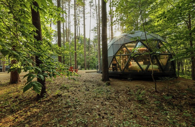Large, luxurious geodesic dome - 07