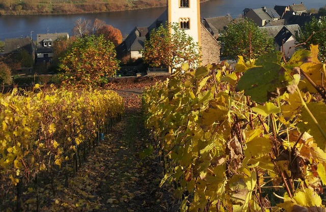 Grande maison de vacances de luxe avec vue Größzügigem (10/12 pers.)