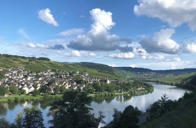 Large vacation apartment in Germany's oldest wine village. Great cycling and hiking trails.
